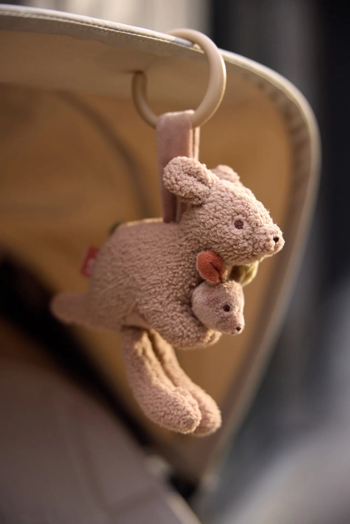 Jollein | Wagenhanger kangaroots