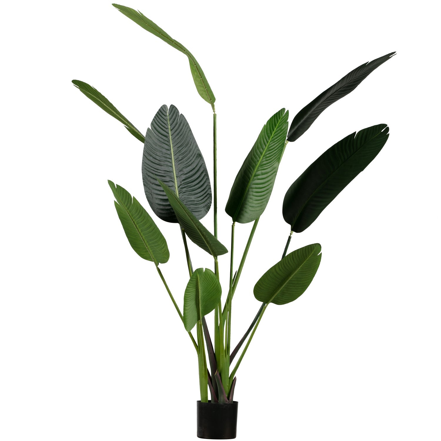 Woood | Kunstplant Strelitzia groen 164cm