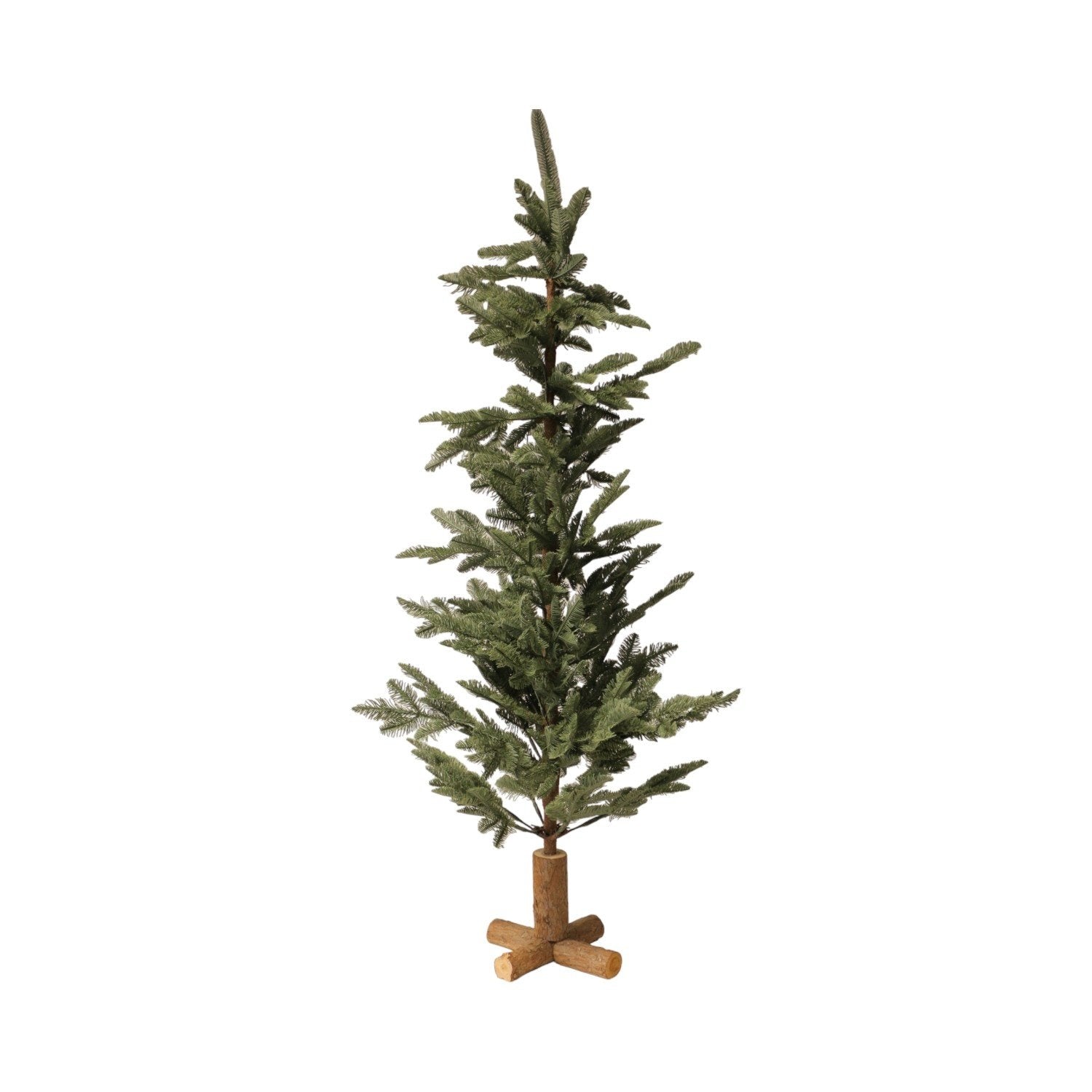 Home Society | Boom spruce groen