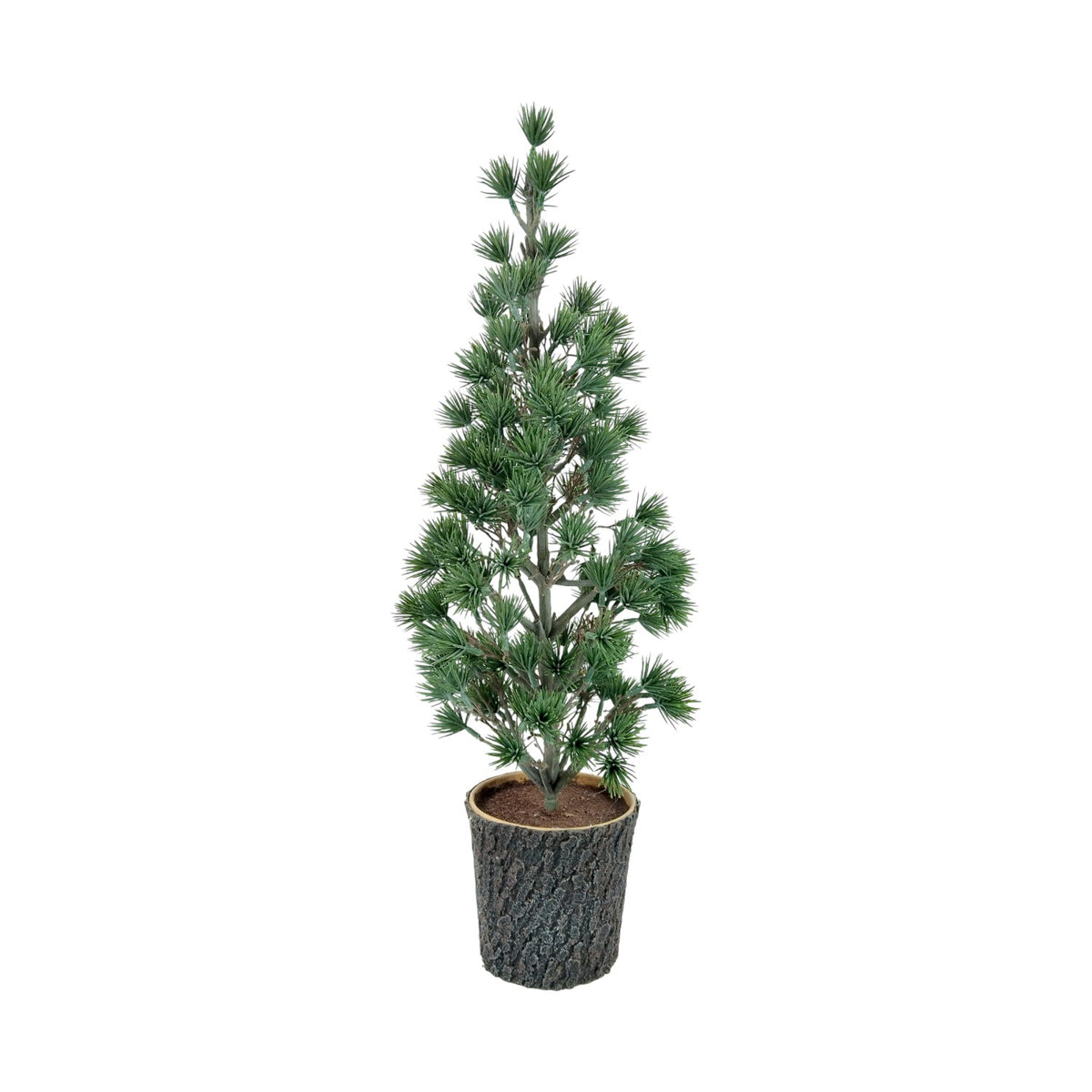 Home Society | Boom Alba groen