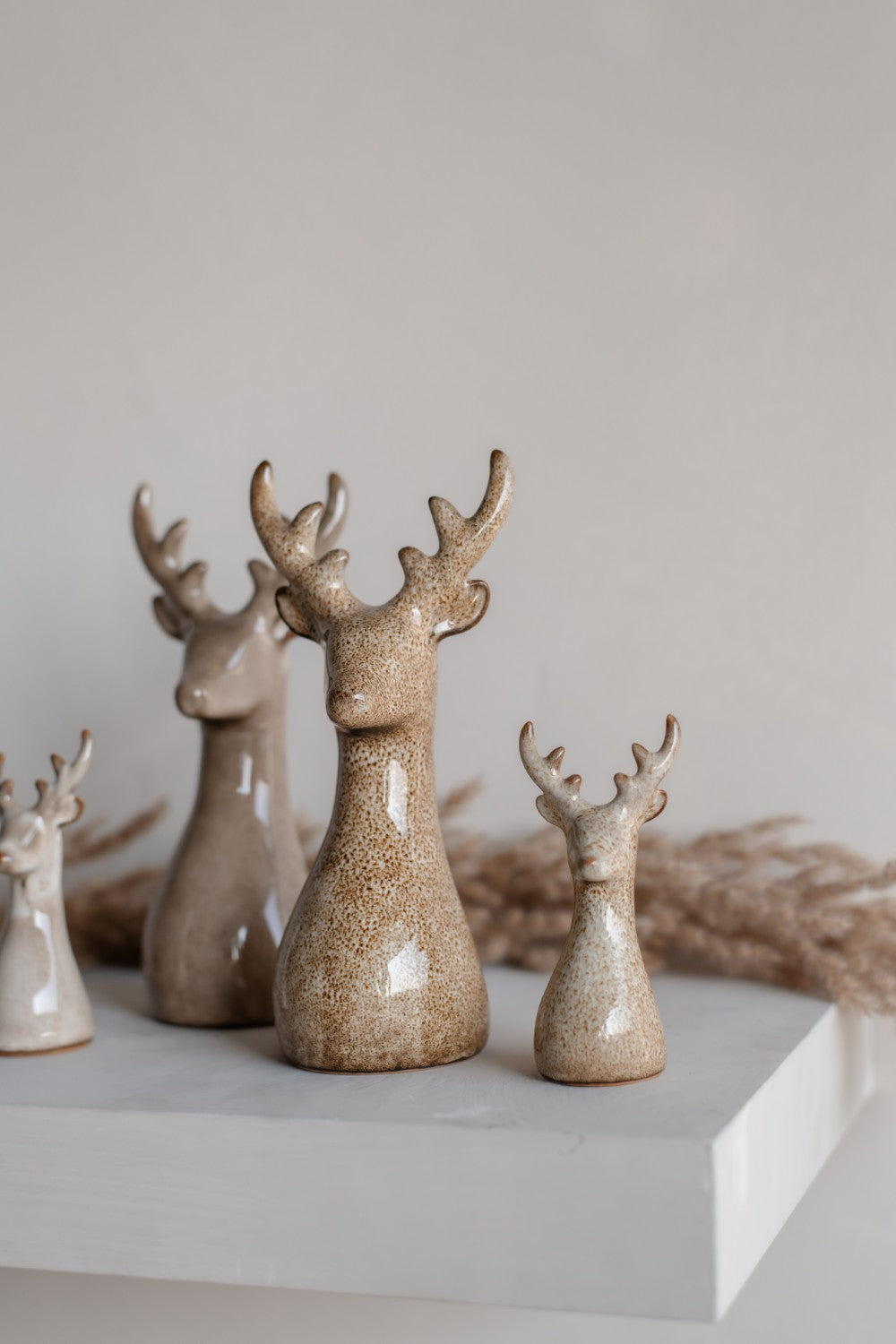 Home Society | Hert Ivy