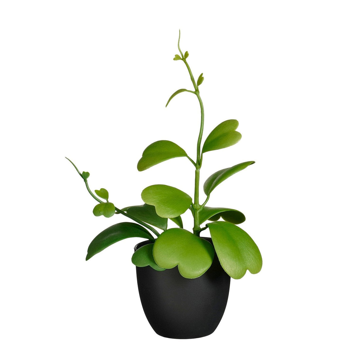 Selected By | Kunstplant hoya 35cm