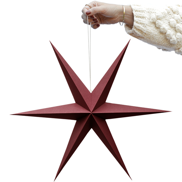 Delight Department | Kerstster rood set van 2