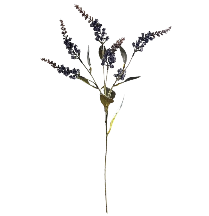 Selected by | Pieris blue 50cm
