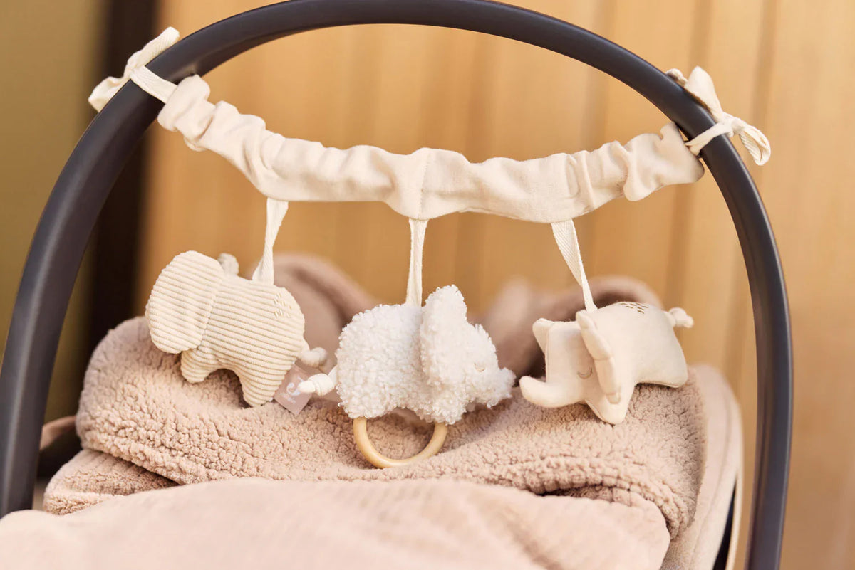 Wagenspanners en wagenhangers