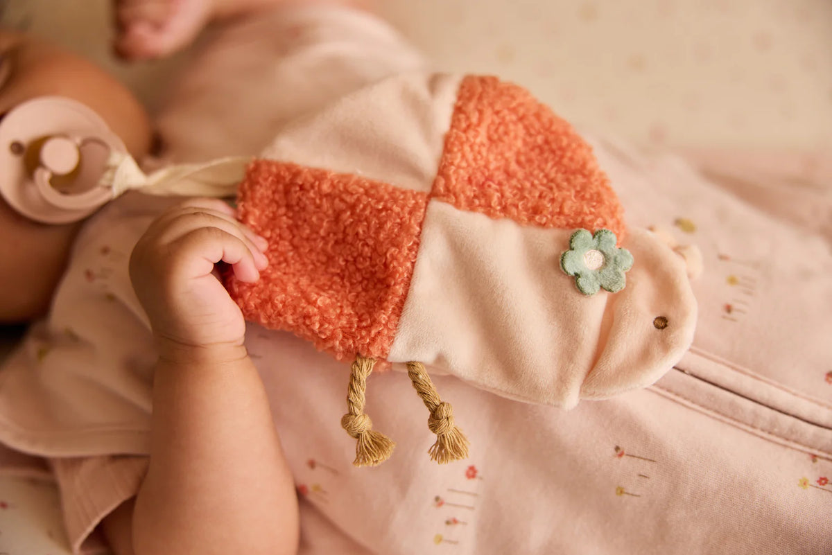 Jollein | Speendoekje pretty picnic ladybug
