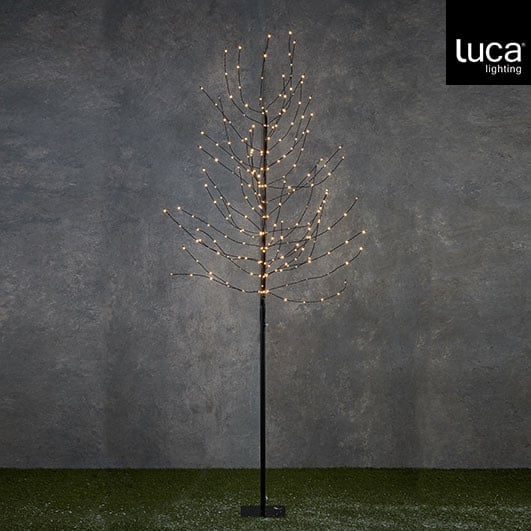 Selected by | Boom zwart warm wit