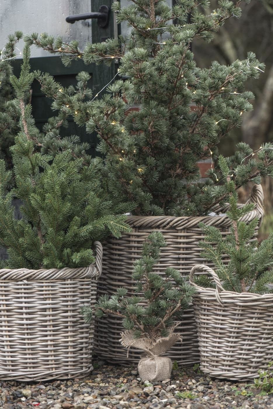 IB Laursen | Kerstboompje cedar 42cm