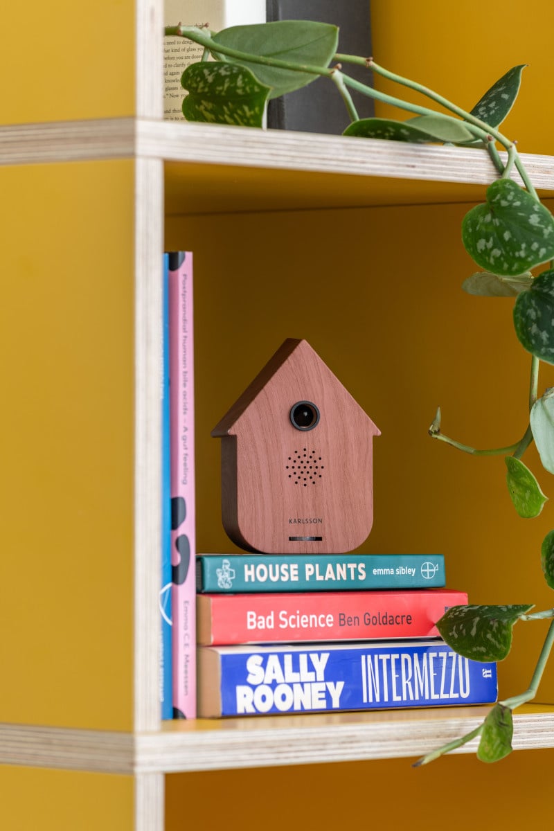 Karlsson | Soundbox cuckoo dark wood