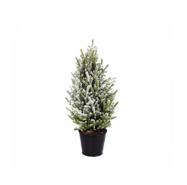 Home Society | Kerstboom aure 50cm