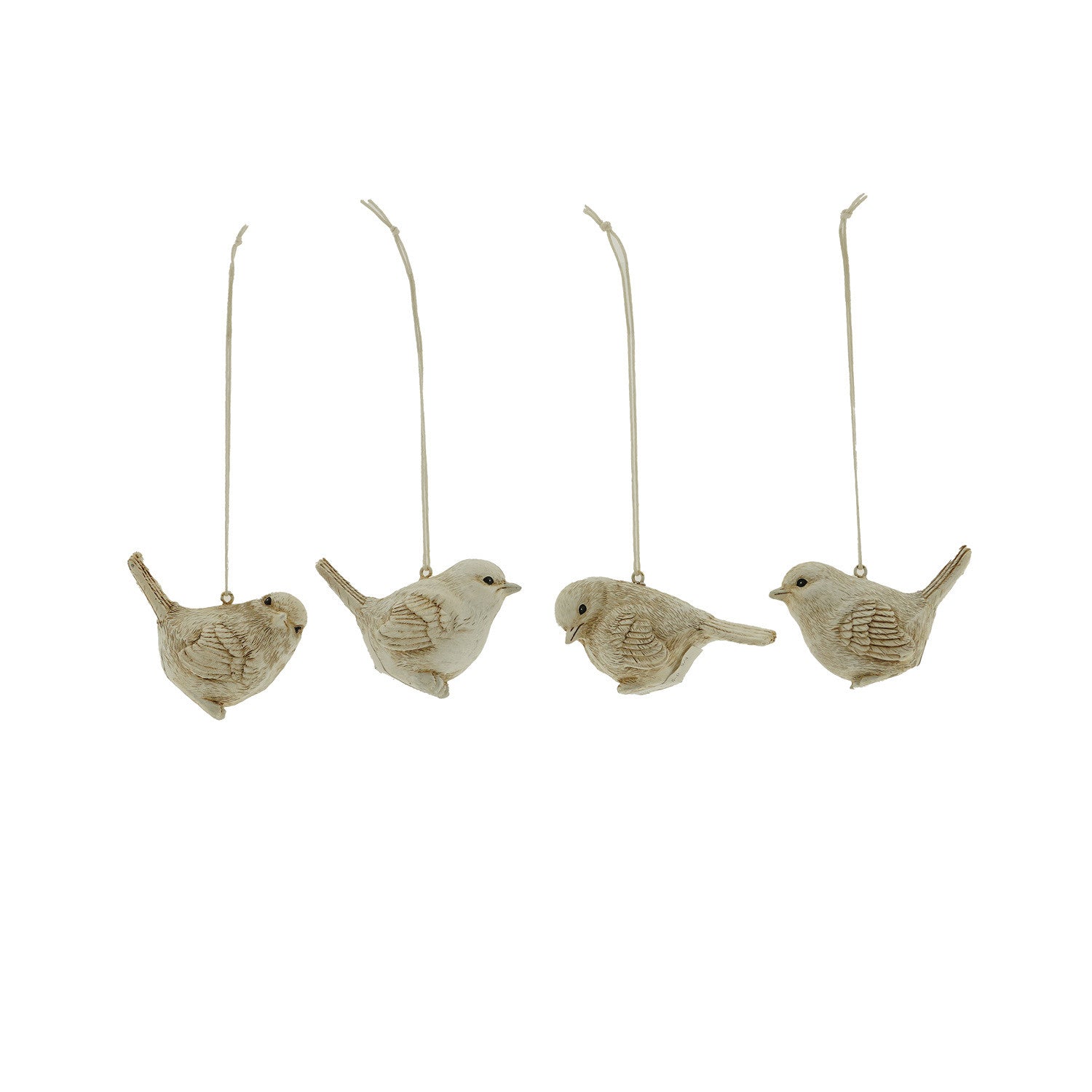 Home Society | Vogel assorti