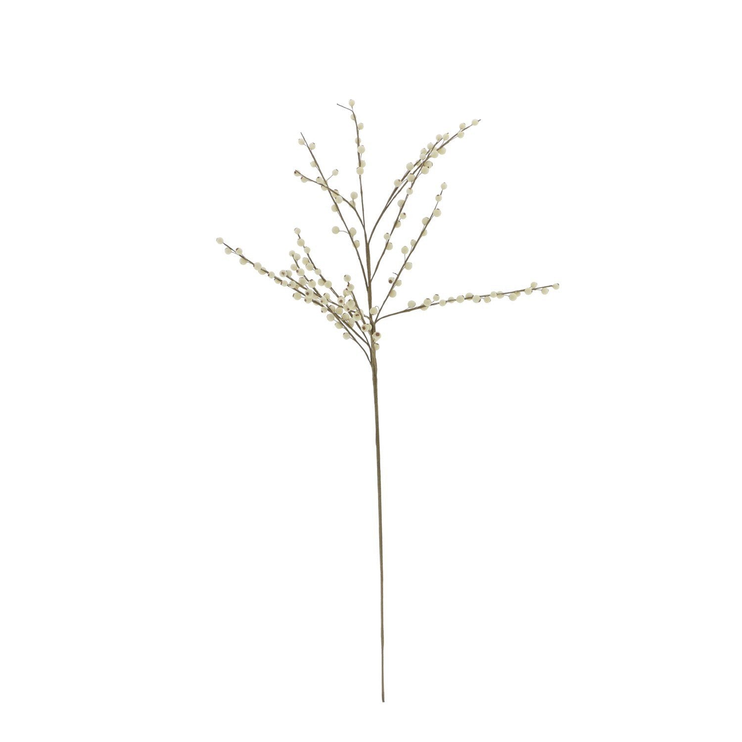 Home Society | Tak snowberry