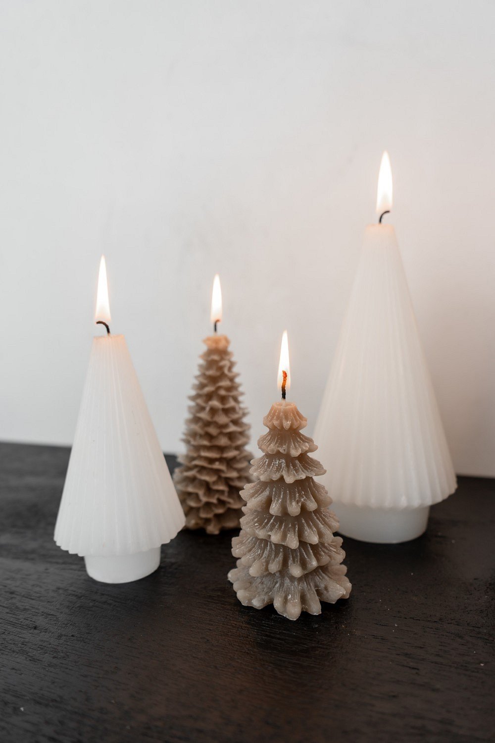 Home Society | Kaars tree James L taupe
