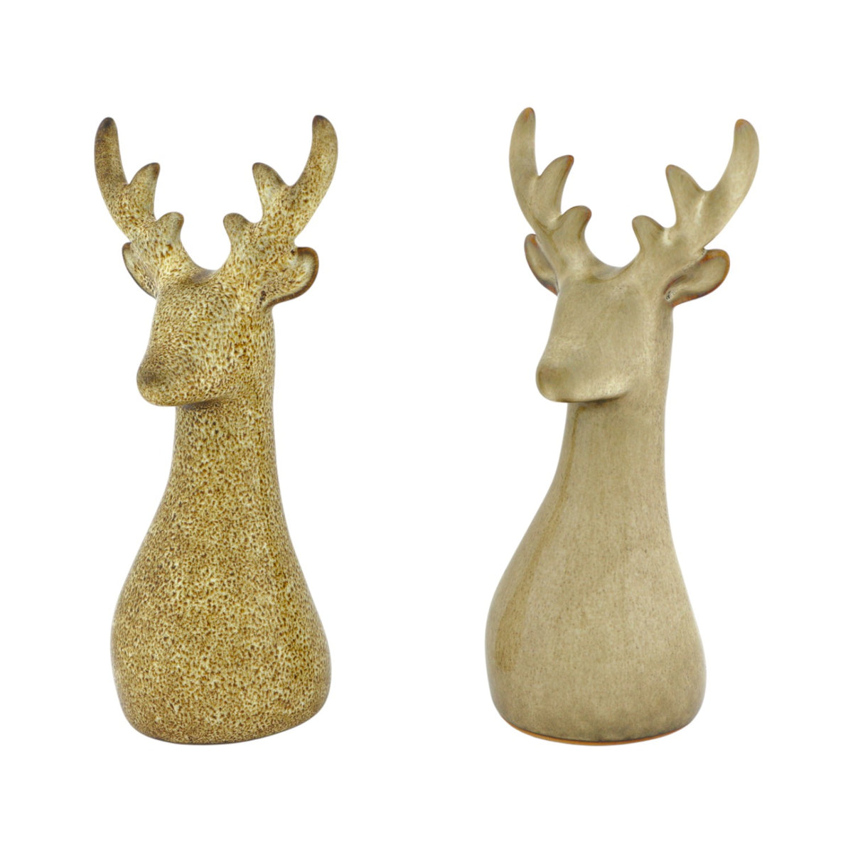 Home Society | Hert Ivy groot