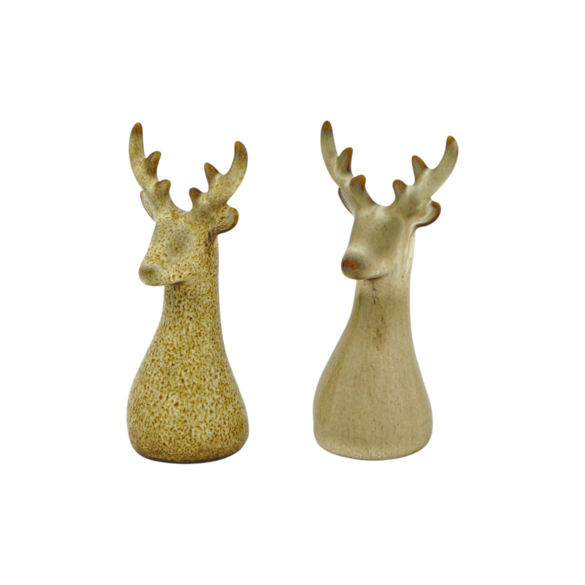 Home Society | Hert Ivy
