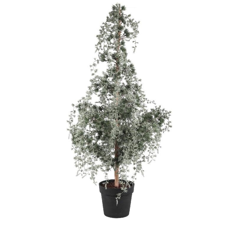 PTMD | Kerstboom ellice in pot L