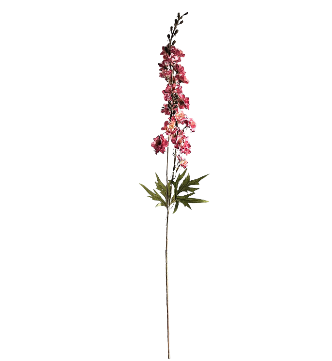 Selected by | Delphinium pink 90cm