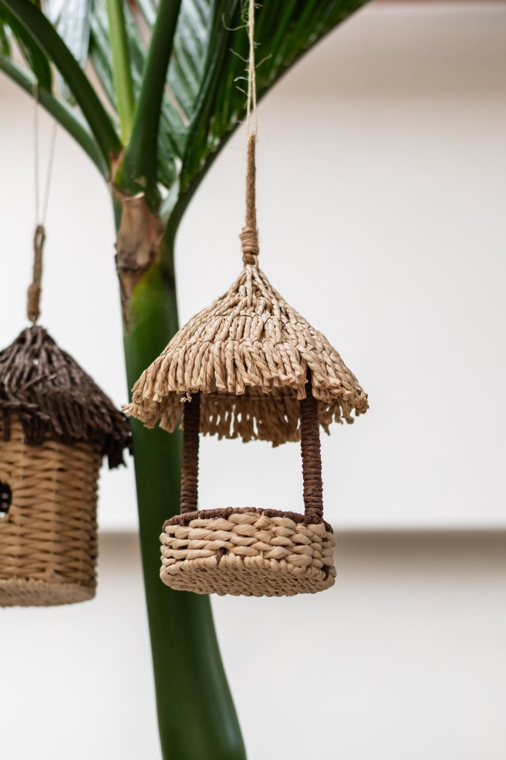 Home Society | Voederhuisje Bird