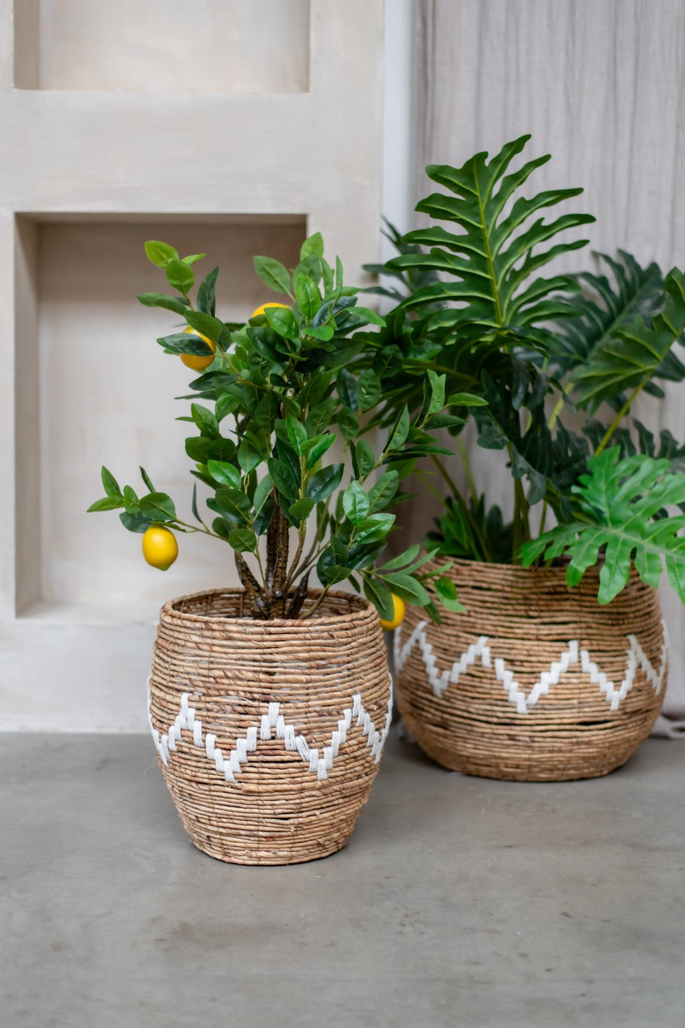 Home Society | Mand Aira