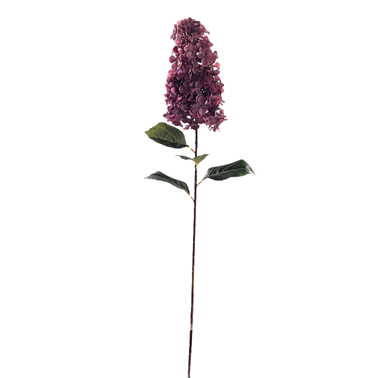 Selected by | Hydrangea paniculata pink