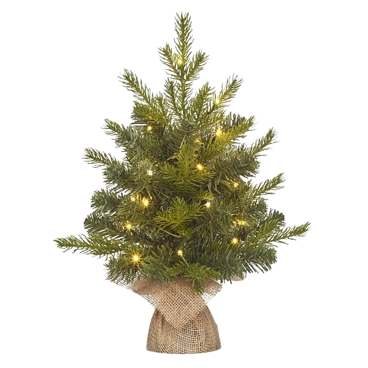 Selected by | Kerstboom met lampjes