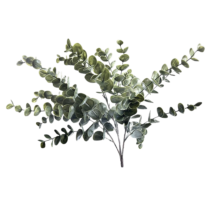 Selected by | Eucalyptus grande green 50cm