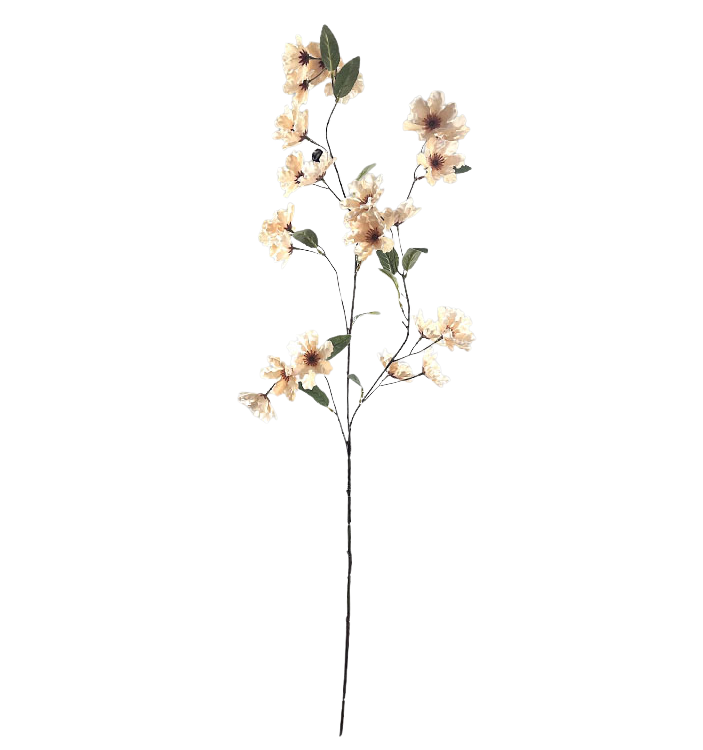 Selected by | Cornus grande de luxe off white 100cm