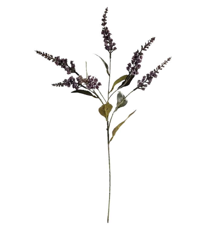 Selected by | Pieris purple 50cm
