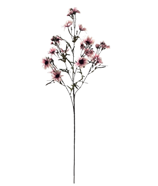 Selected by | Chrysanthemum ant. pink 90cm