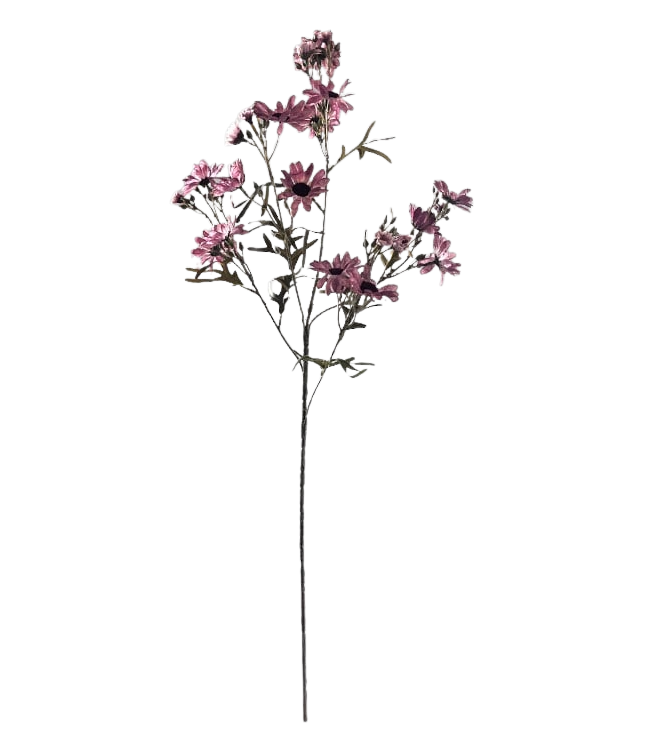 Selected by | Chrysanthemum purple 90cm