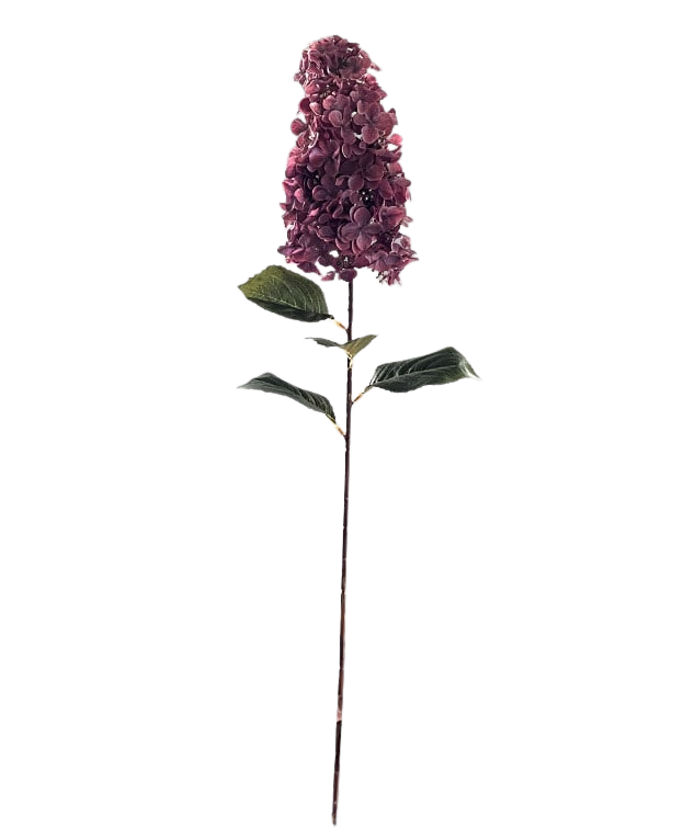 Selected by | Hydrangea paniculata pink 90cm