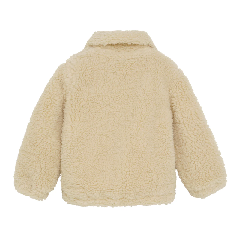 Daily7 | Jas Teddy sand