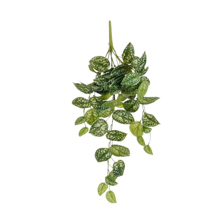 Selected by | Scindapsus hangend groen 65cm